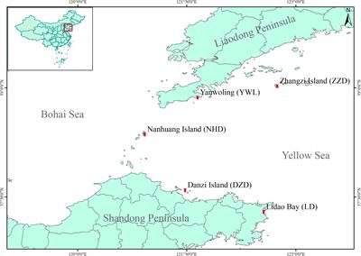 Genome-Wide SNP Discovery and Population Genetic Analysis of Mesocentrotus nudus in China Seas